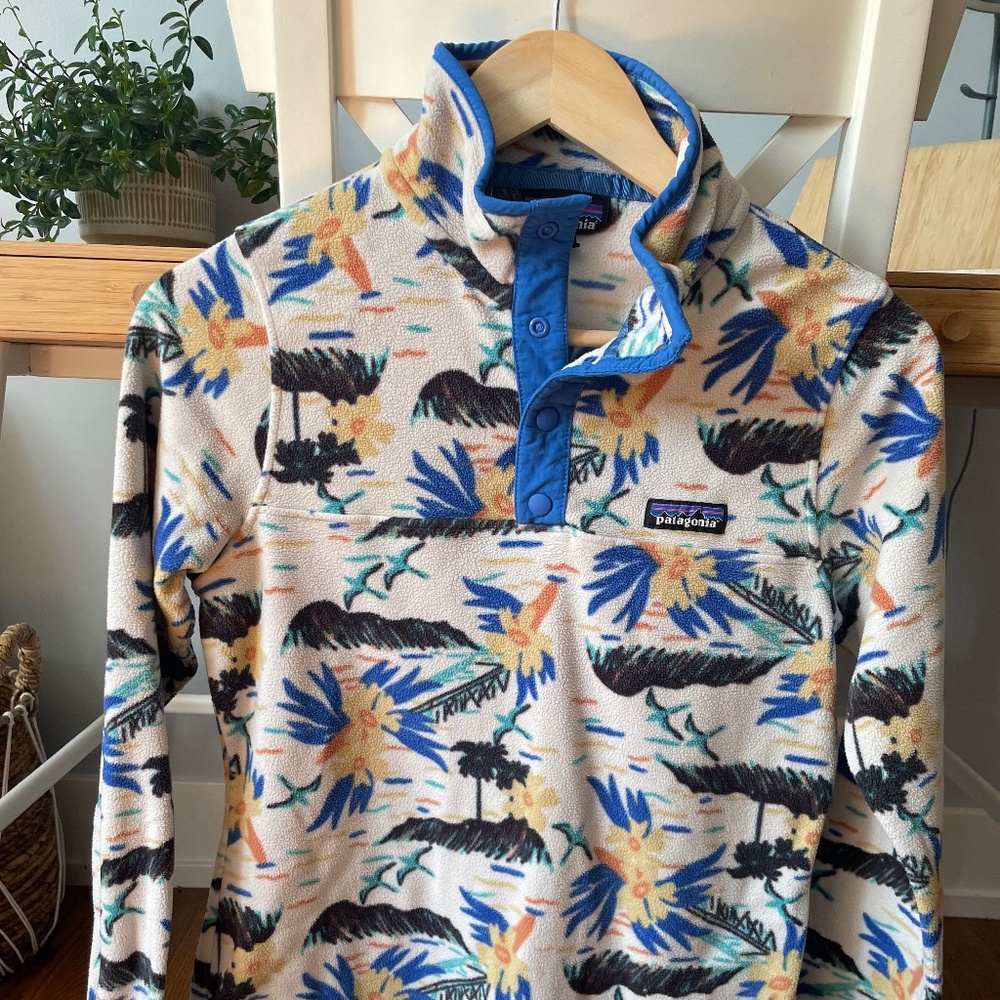 Patagonia Synchilla Snap-T